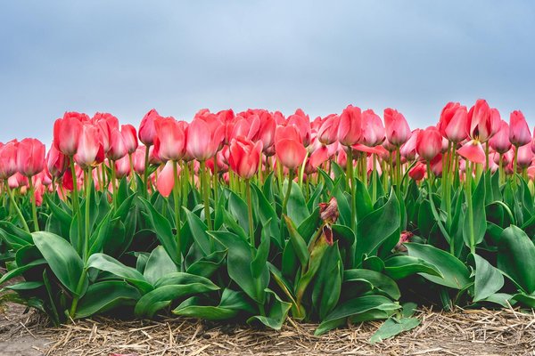 Découvrez les avantages du Coworking à Valenciennes