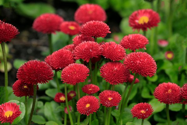 Pourquoi contacter un brocanteur 75 pour débarrasser sa maison ?