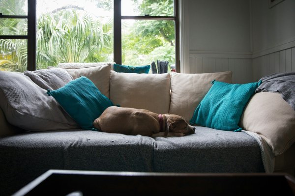 Revolutionnez votre salon avec une housse de canapé et fauteuil