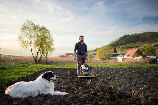 Guide ultime des meilleures motobineuses de 2024